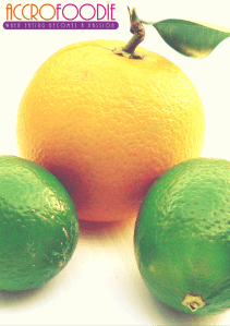 b o a t c r u i s e s (3)